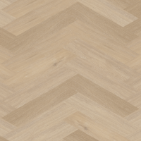 Chevron_weense punt_6542