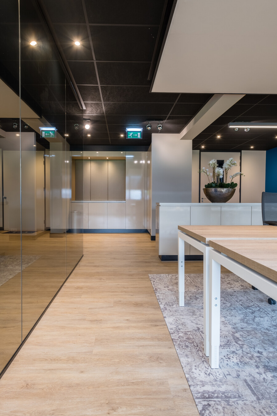 THE_BPZGroup_4270_10